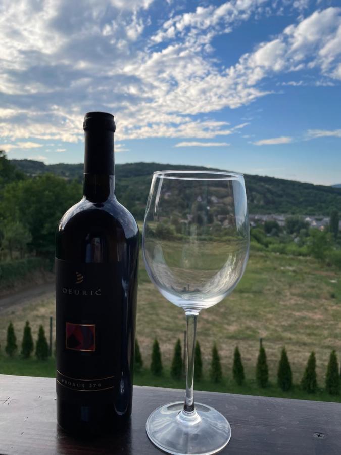 Vila Grujic Vrdnik Buitenkant foto
